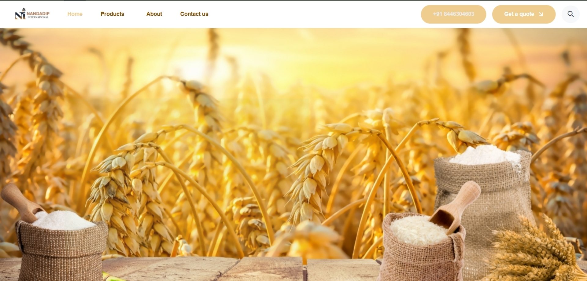 webscreen (3)